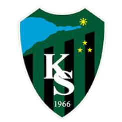 高卡尔利